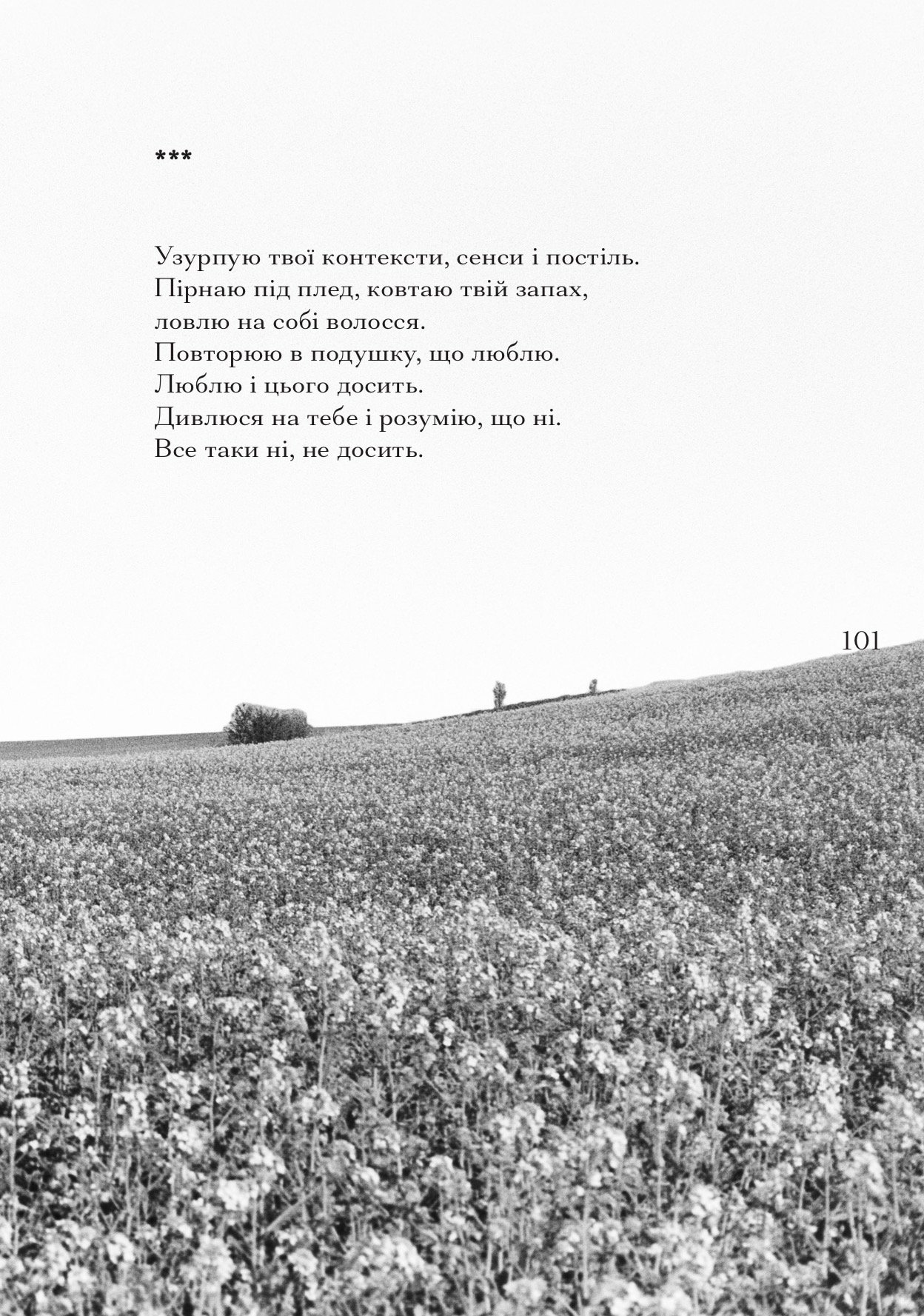 "Цілісність" Веро Булат - Зображення 4