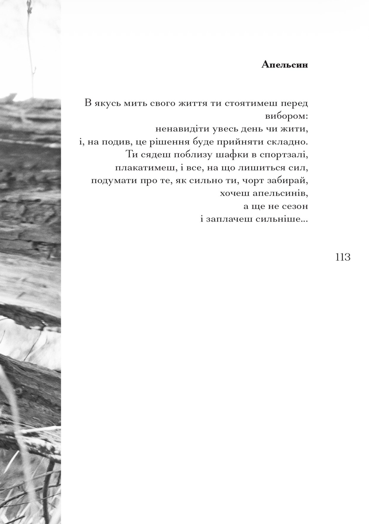 "Цілісність" Веро Булат - Зображення 5